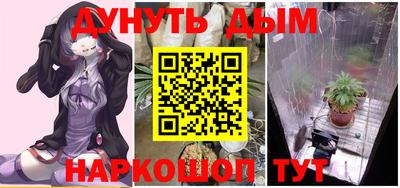 дмт Обь