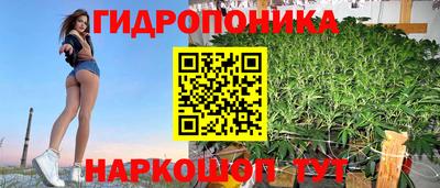 амф Обнинск