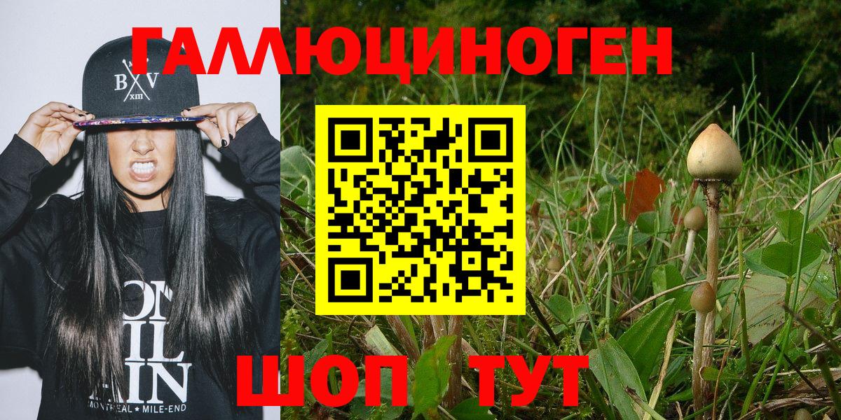 Симферополь  наркота  Вход с VPN  Галлюциногенные грибы мицелий 